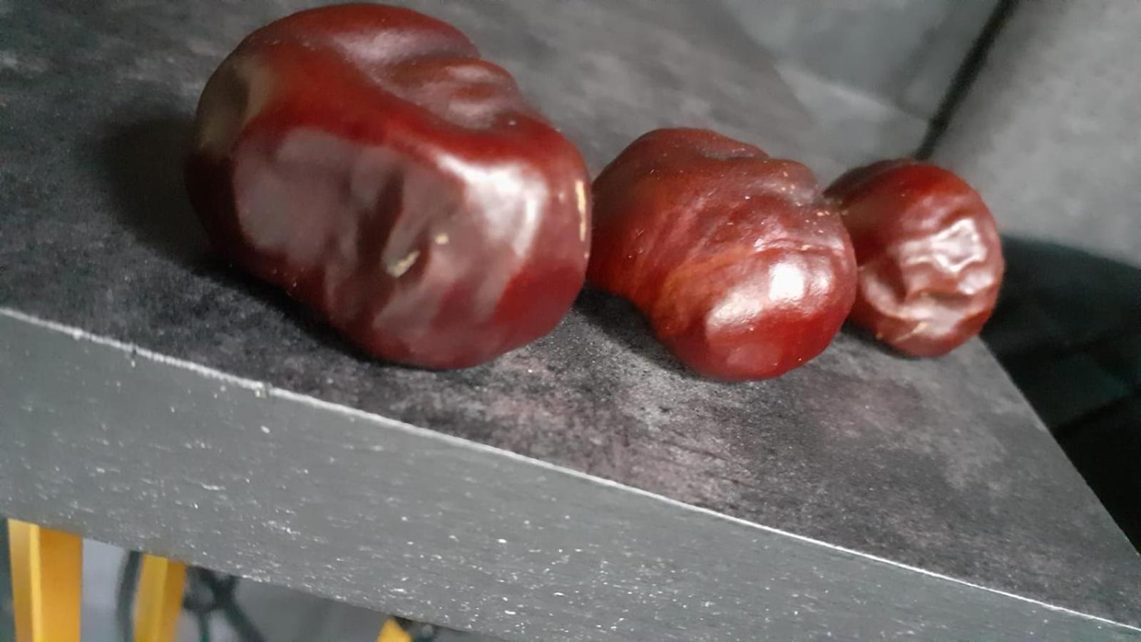 Zaciszny Zakatek Zawojaアパートメント エクステリア 写真